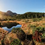 Ausflugsziel rund um das Hotel Waldesruh in Göstling-Hochkar